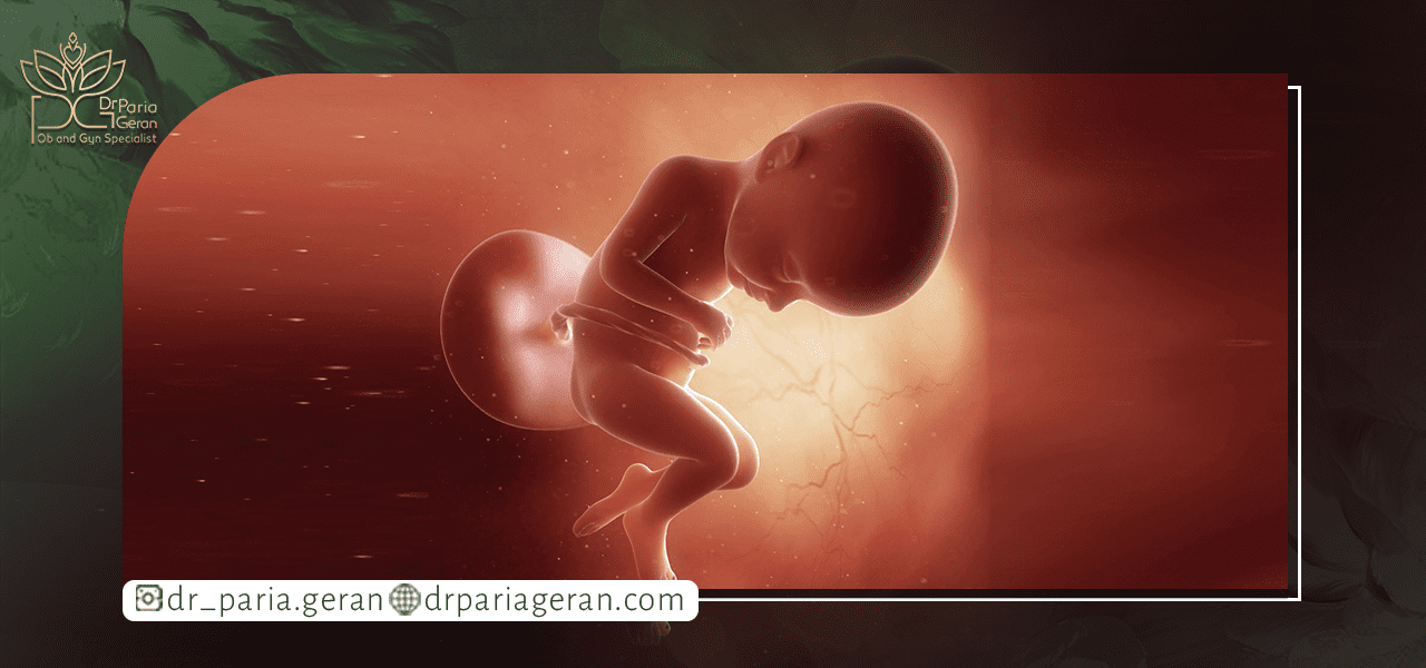 بارداری طبیعی با ivf چه تفاوتی دارد؟